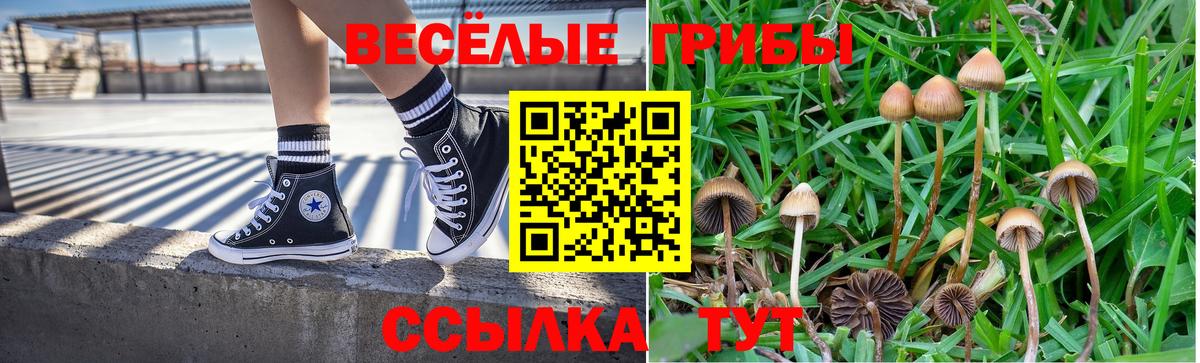 Галлюциногенные грибы Psilocybe Маркс