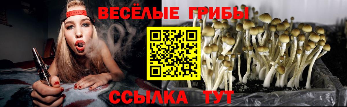 Галлюциногенные грибы MAGIC MUSHROOMS  Вход с VPN  Маркс 